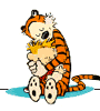 calvin/hobbes